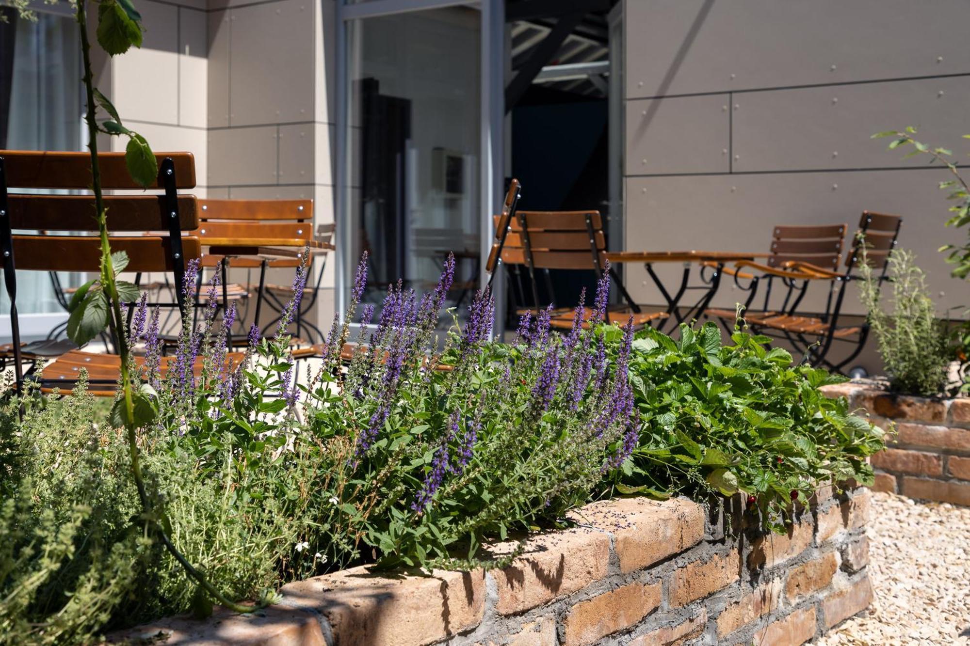 Baumann & Mueller Apartment Walsheim Exterior photo